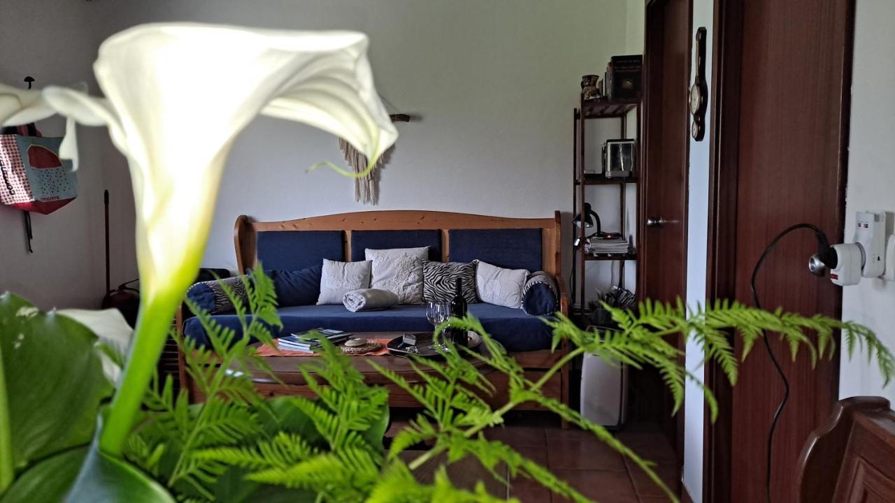 Вілла Casa Azul Rabo de Peixe Екстер'єр фото